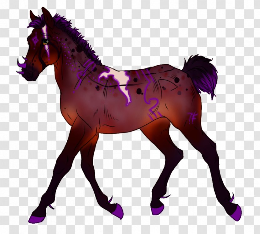 Mustang Mare Foal Stallion Mane Transparent PNG
