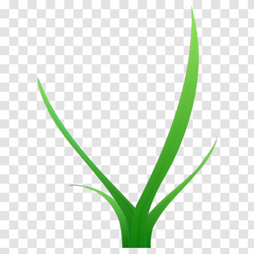 Green Leaf Plant Flower Grass Transparent PNG