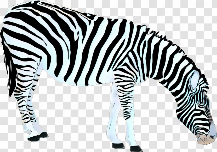 Zebra Terrestrial Animal Wildlife Figure Black-and-white - Retro - Snout Blackandwhite Transparent PNG