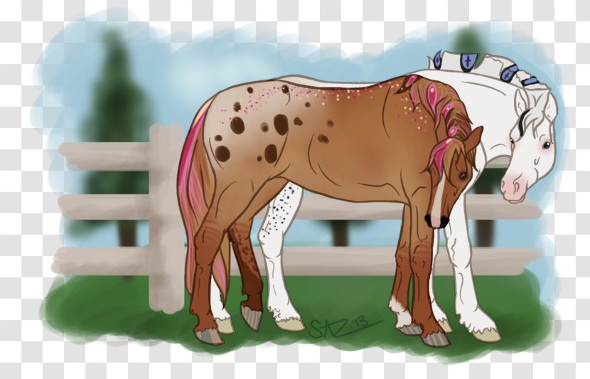 Pony Mustang Foal Mare Stallion - Yonni Meyer Transparent PNG