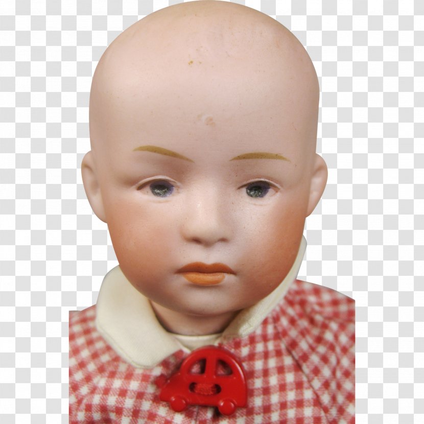 Cheek Mannequin Chin Forehead Jaw - Nose Transparent PNG