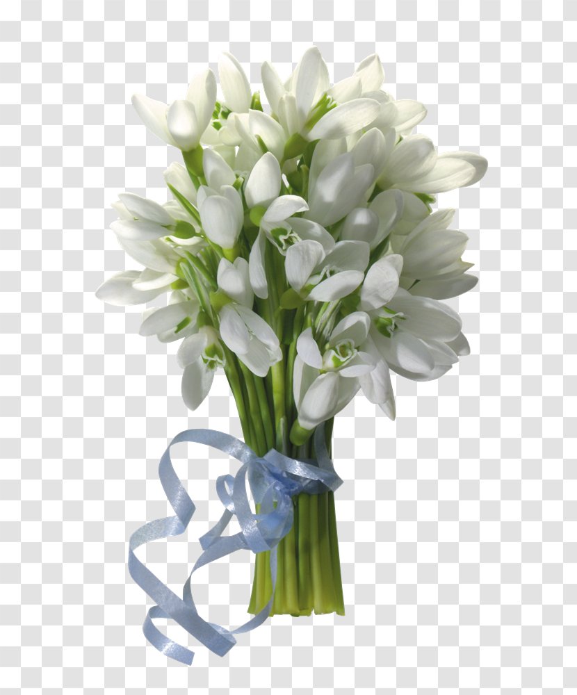 Flower Bouquet Cut Flowers Desktop Wallpaper Bulb Transparent PNG