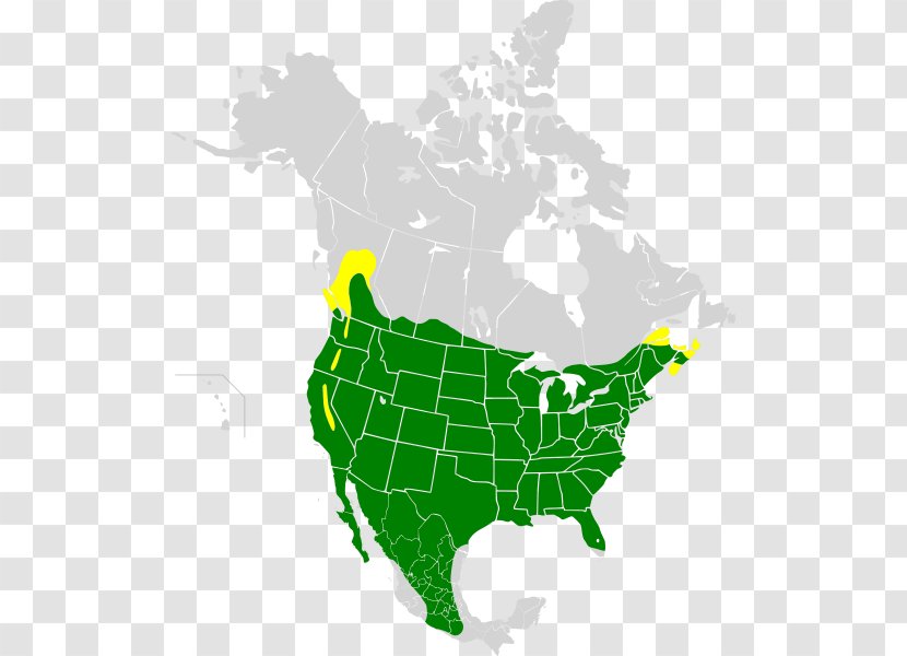 United States Jesusland Map World Mapa Polityczna - Organism Transparent PNG