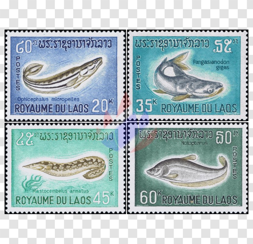 Postage Stamps Stamp Collecting Fish Cinderella Mail - Post Cards - Ken Block Transparent PNG
