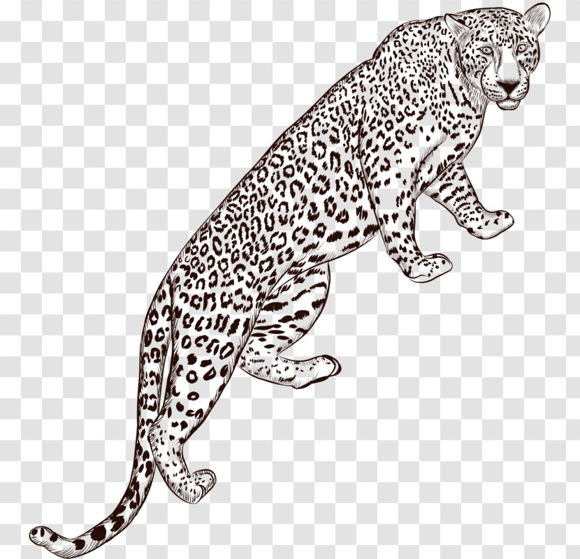 Leopard Jaguar Euclidean Vector - Hand-painted Transparent PNG