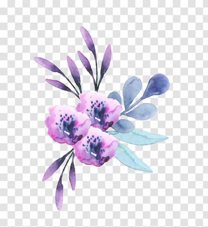 Clip Art Image Flower Purple Illustration - Plant - Cementery Watercolor Transparent PNG