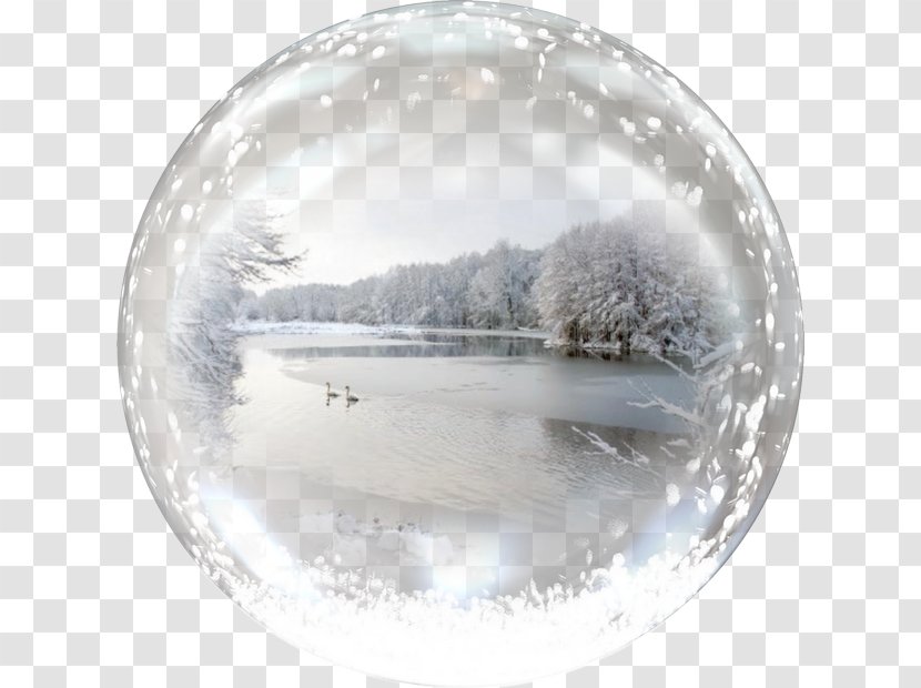 Image Photography Painting - Winter - Birch Transparent PNG