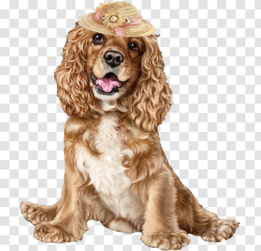 English Cocker Spaniel American Puppy Field - Sussex Transparent PNG