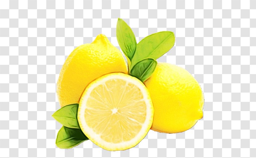 Lemon - Lime - Pomelo Bitter Orange Transparent PNG