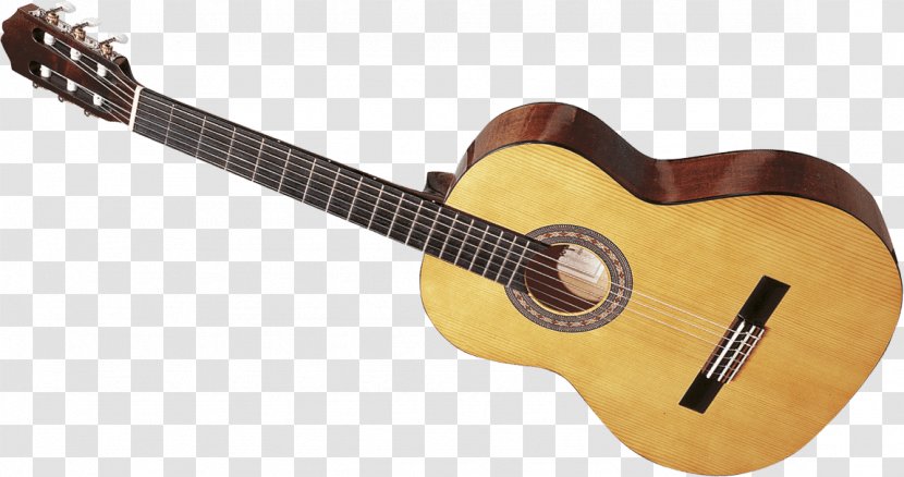 Acoustic Guitar Tiple Cavaquinho Cuatro Acoustic-electric - Tree Transparent PNG