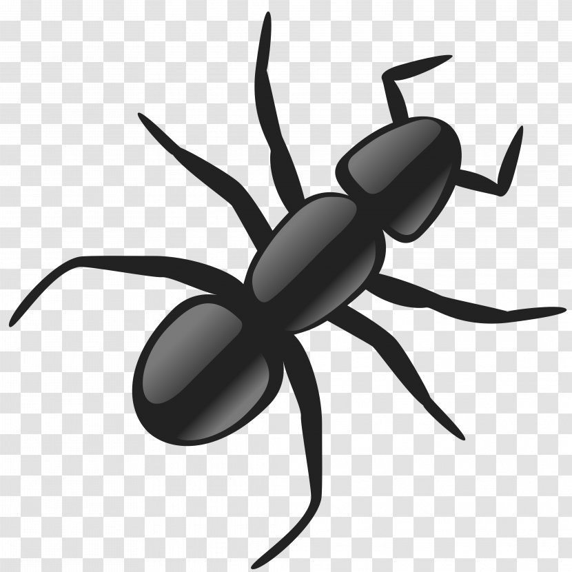 Ant Clip Art - Arthropod - Dead Insects Cliparts Transparent PNG