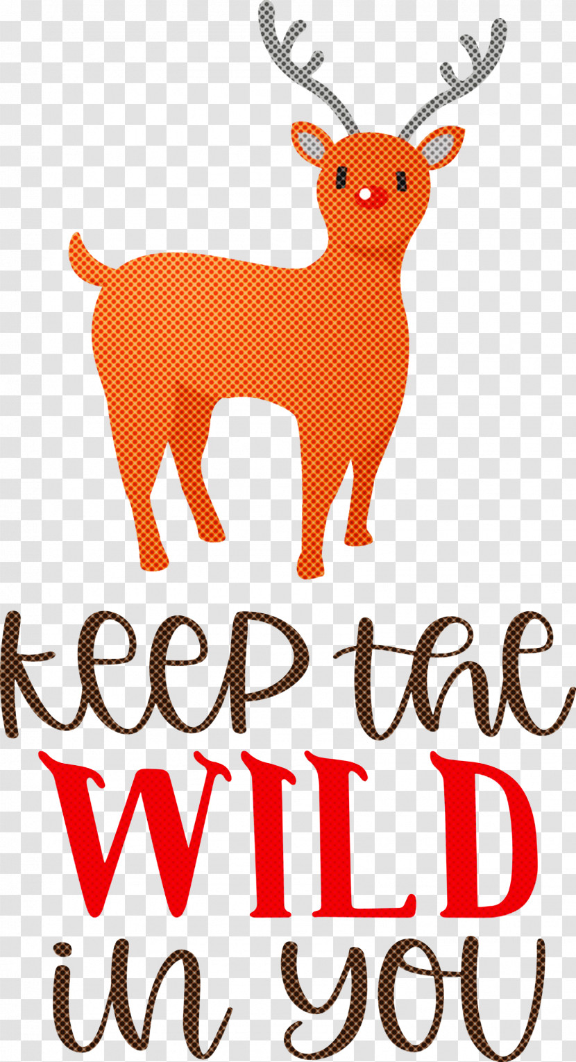 Keep Wild Deer Transparent PNG