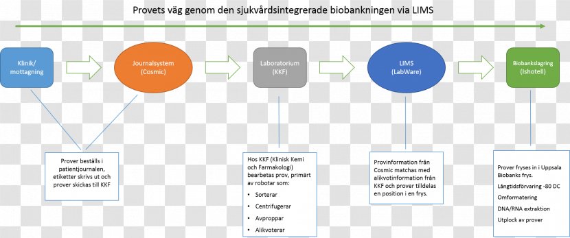 Brand Diagram Business - Text Transparent PNG