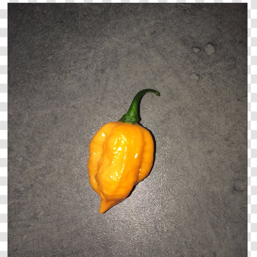 Chili Pepper Habanero Serrano Pasilla Bhut Orange Copenhagen - Chilly Transparent PNG