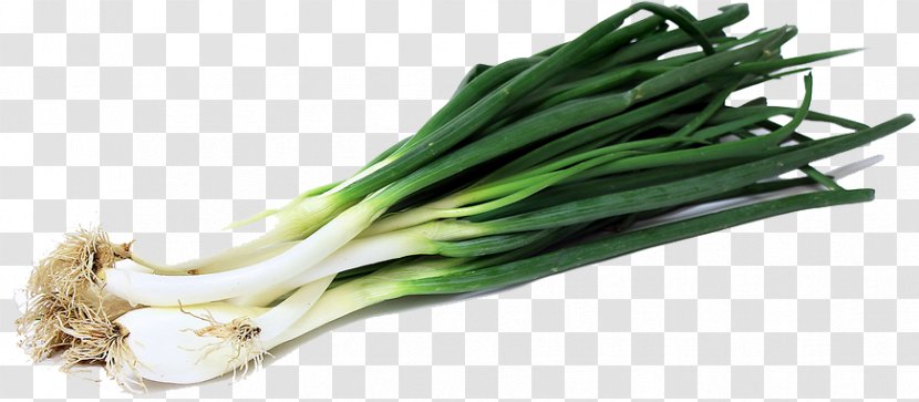 Calxe7ot Scallion Onion Ring Vegetable - Food - Green Image Transparent PNG