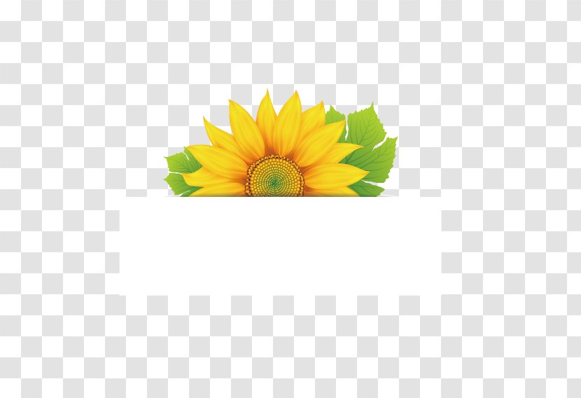 Flower Euclidean Vector - Rose - Sunflower Label Transparent PNG