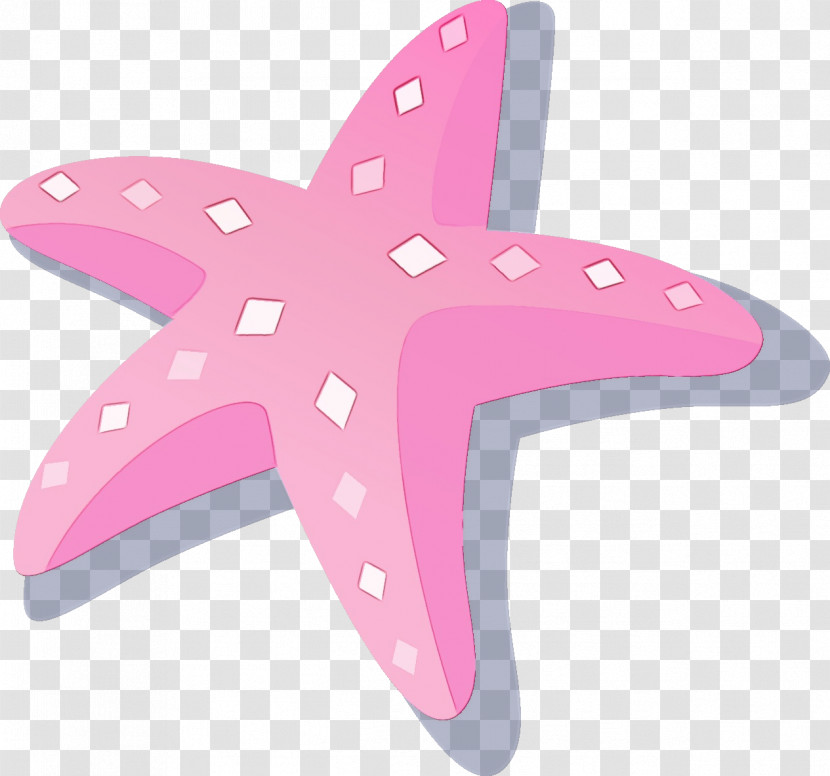 Starfish Pink M Transparent PNG