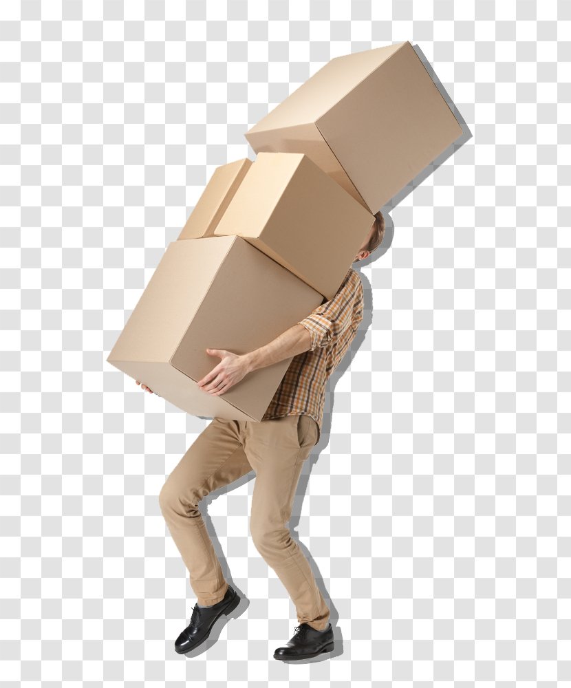 Stock Photography Cardboard Box Organization - Royaltyfree Transparent PNG