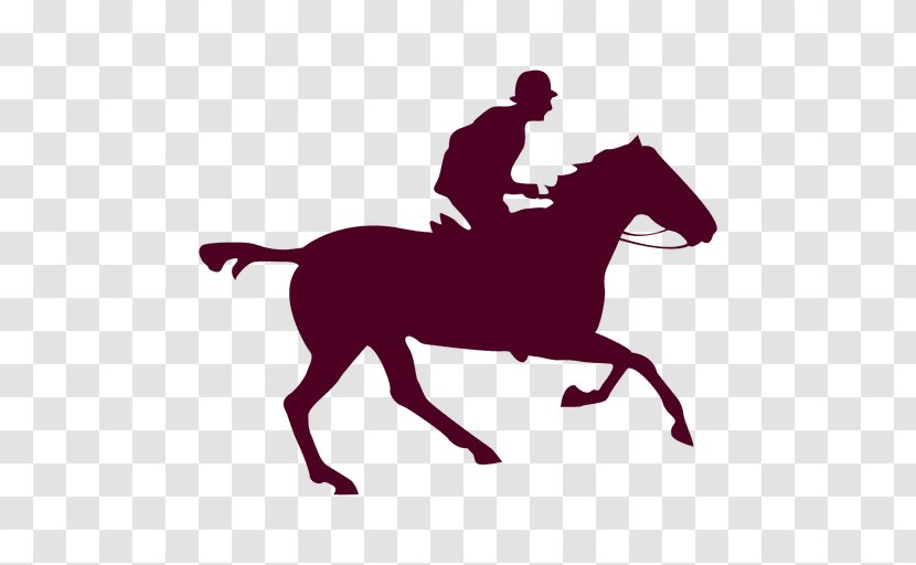 Horse Equestrian - English Riding - Vector Transparent PNG