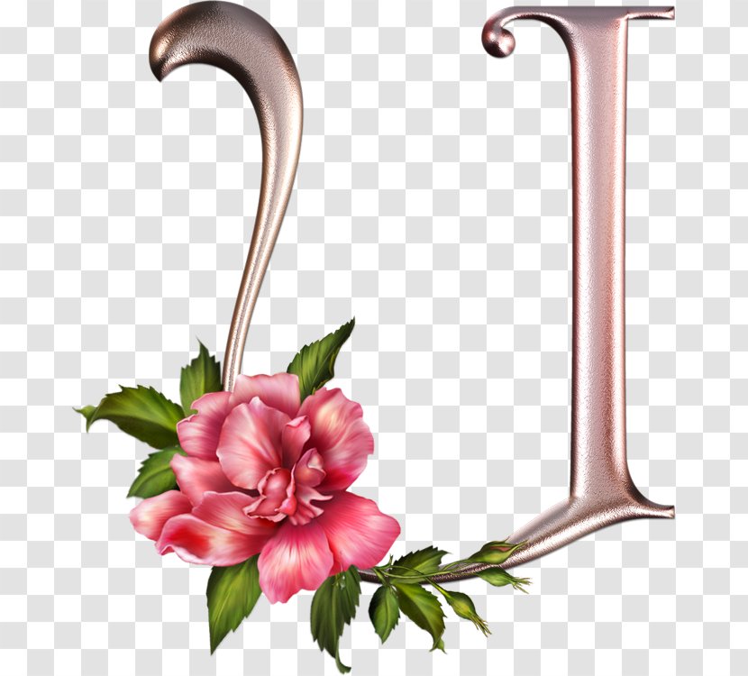 Letter Alphabet Flower Floral Design - Rose Transparent PNG