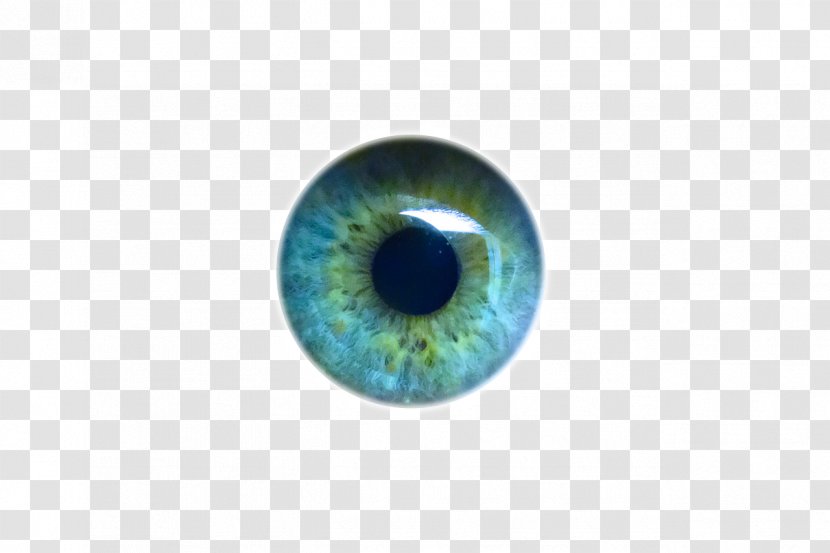 Light Human Eye Iris Pupil - Silhouette - Eyes Transparent PNG