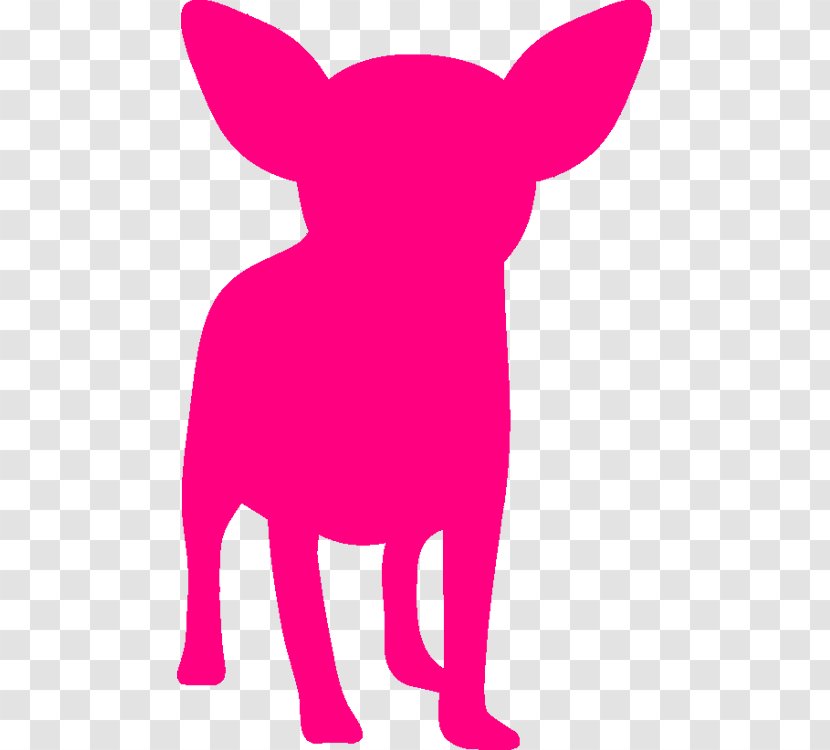 Chihuahua Queensland Puppy Pet Dog Breed - Snout Transparent PNG
