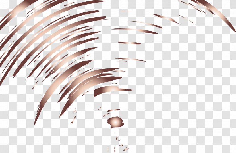 Curve Icon - Brand - Coffee Background Transparent PNG