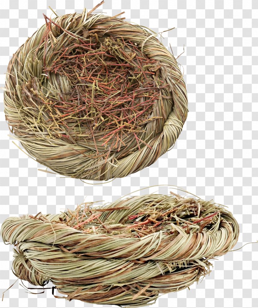 Bird Nest Image - Straw Transparent PNG