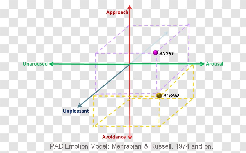 Line Angle Point Diagram Special Olympics Area M - Human Brain Model Transparent PNG