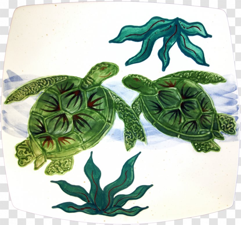 Sea Turtle Sushi Banana Patch Studio Tortoise - Hand-painted Transparent PNG