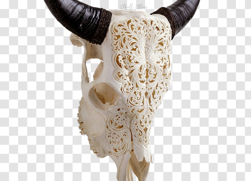 Skull Horn Antler Bison Cattle - Carving Transparent PNG