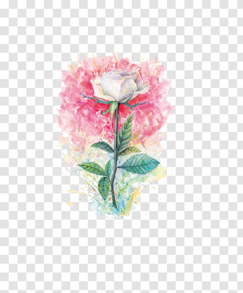Beach Rose Flower Painting - Floristry - Hand-painted Flowers Transparent PNG