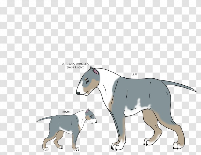 Dog Breed Italian Greyhound Cat Transparent PNG