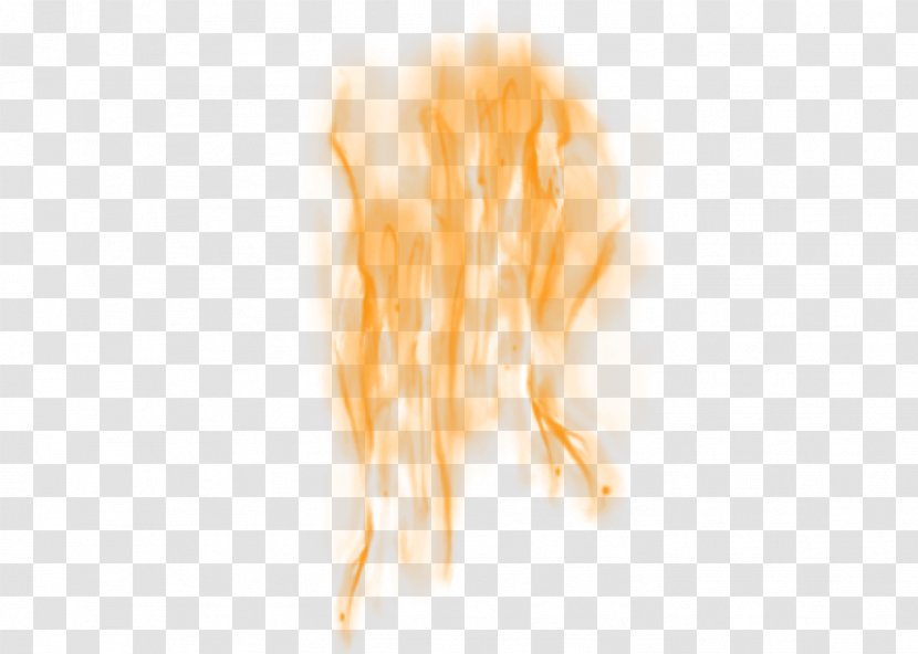 Torrents Of Flame - Computer - Peach Transparent PNG