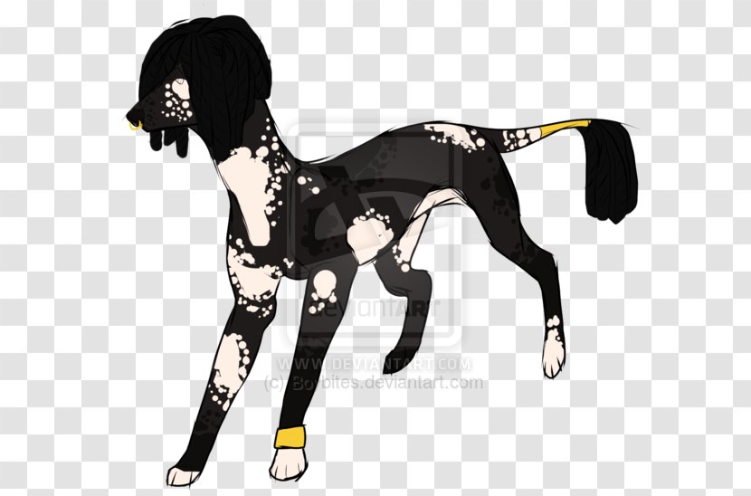 Horse Tack Dog Canidae Character Transparent PNG