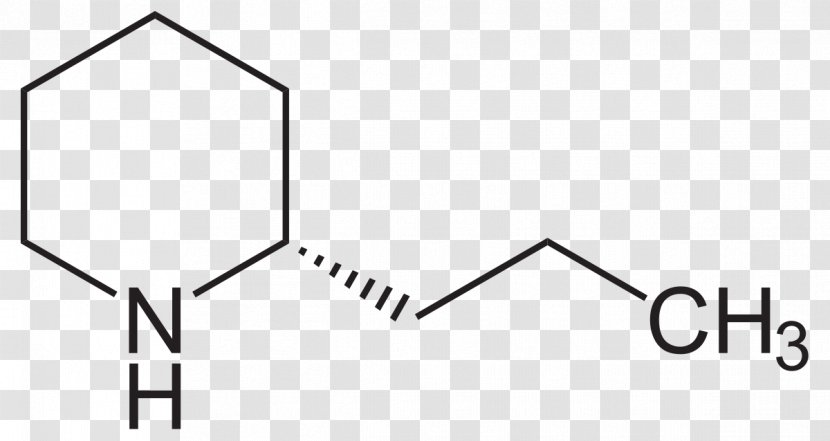 Coniine Alkaloid Chemistry Chemical Compound Hemlock - Text - Solvent In Reactions Transparent PNG