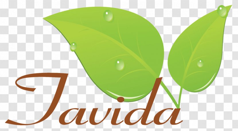 Logo Leaf Product Font Brand - Green Transparent PNG
