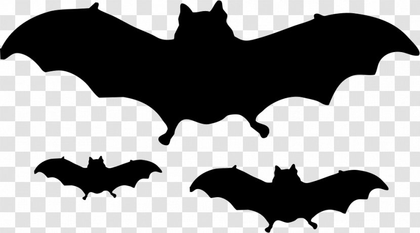 Bat Halloween - Vampire Transparent PNG