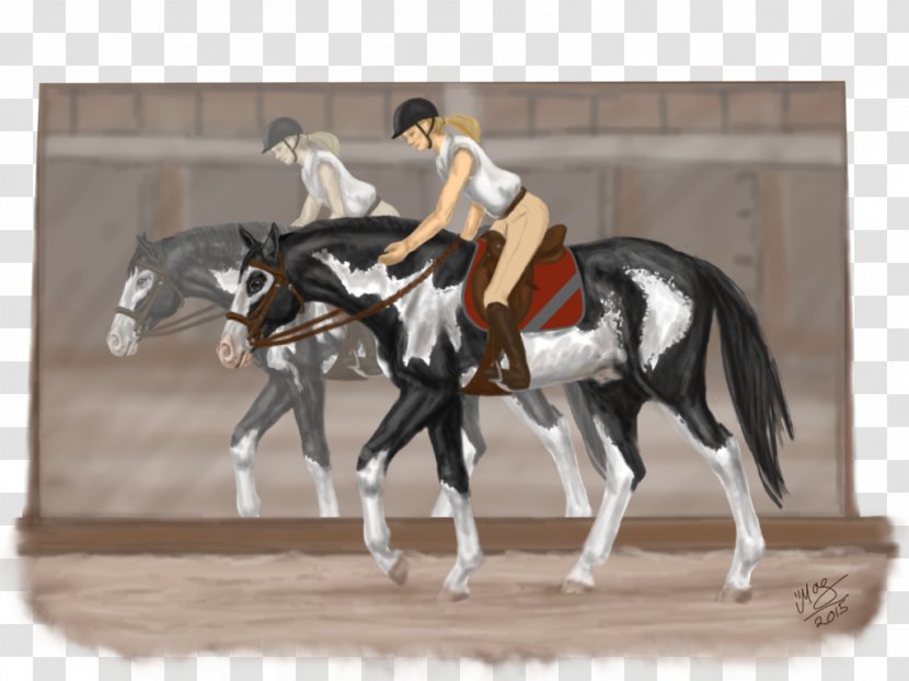 Western Pleasure Stallion Rein Mustang Mare - Riding - Well Done! Transparent PNG