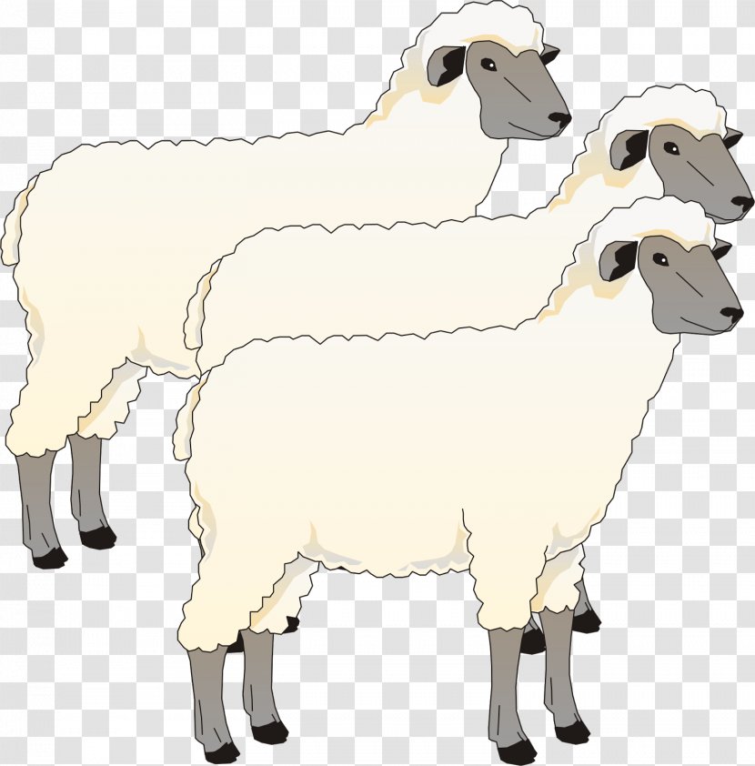 Blackhead Persian Sheep Goat Cotswold Southdown Clip Art - Mammal Transparent PNG
