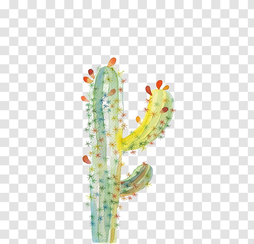 UGallery Cactaceae Drawing Watercolor Painting - Organism - Cactus Transparent PNG