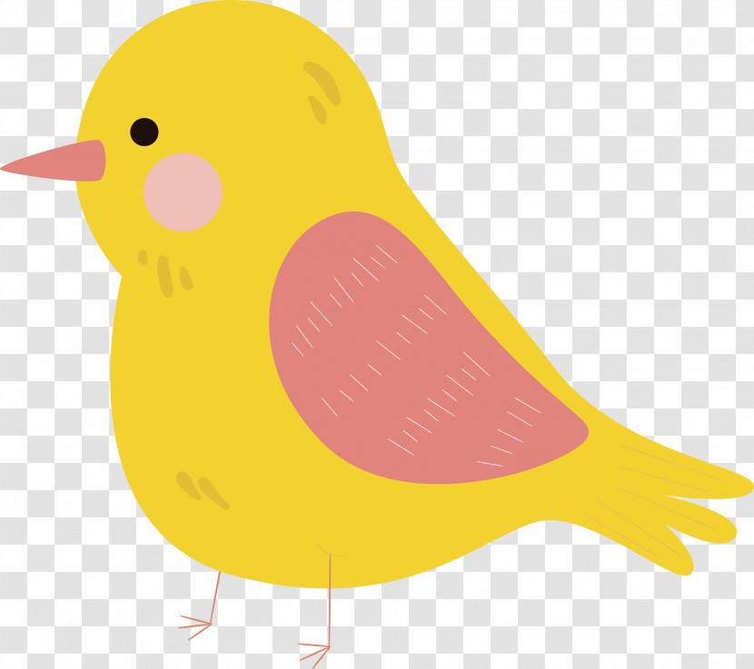 Beak Ducks Birds Water Bird Yellow Transparent PNG