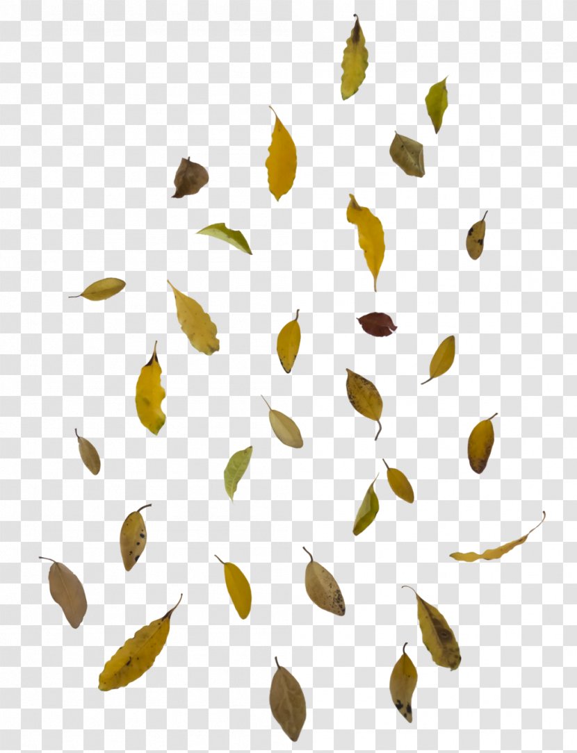 Autumn Leaf Color - Falling Leaves Image Transparent PNG