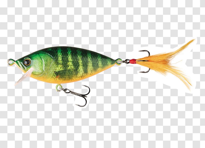 Spoon Lure Perch Fish AC Power Plugs And Sockets - Seafood - Orangebellied Parrot Transparent PNG