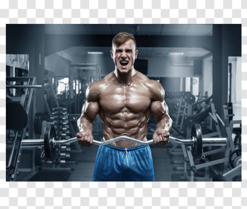 Weight Training Fitness Centre Exercise Physical Bodybuilding - Flower - Exercise/x-games Transparent PNG