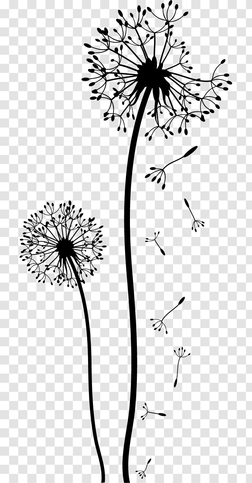 Dandelion Drawing Black And White Clip Art - Petal - Flower Wall Transparent PNG