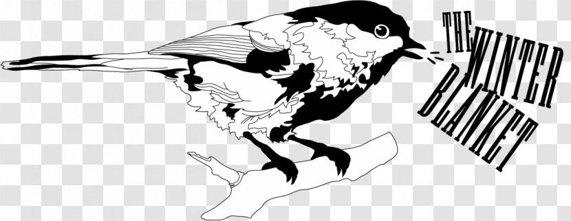 Beak Line Art Drawing Transparent PNG