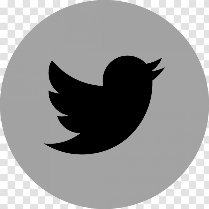 Logo Brand Social Media Marketing Corporate Identity - Beak - Twitter Transparent PNG