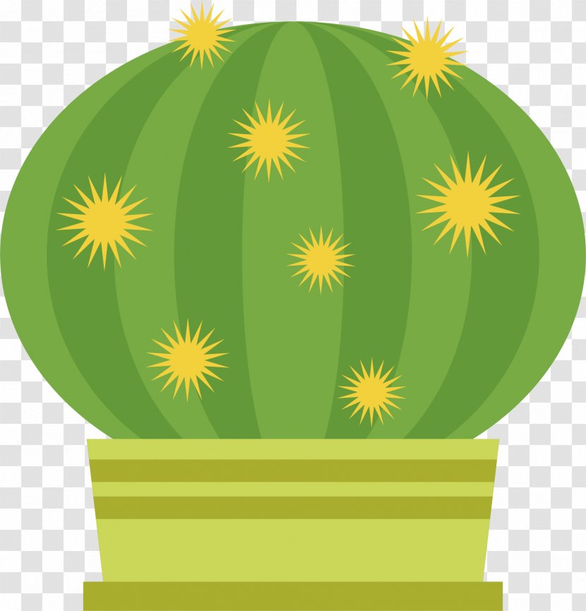 Cactaceae - Flower - Cactus Vector Transparent PNG