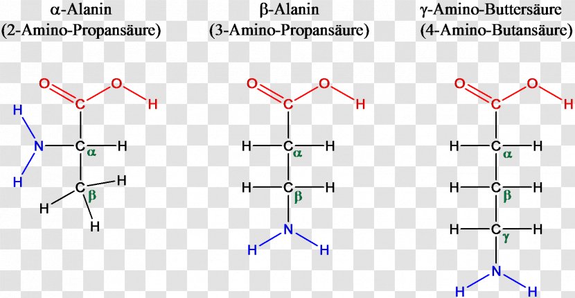 Amino Acid Talde β-Alanine Alpha - Molecule - Alphabeta Transparent PNG